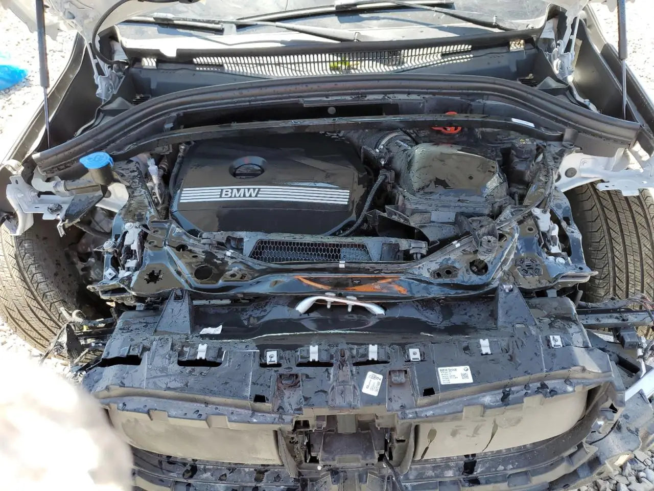 WBX73EF01S5190331 - 2025 Bmw X1 – VIN-Checker